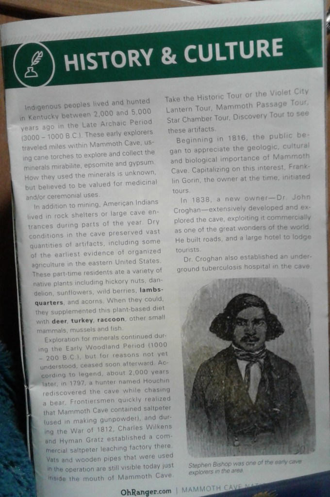 15403563861781783124857