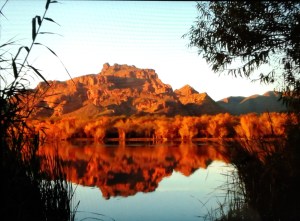 15446420285843146174027556526209